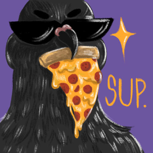 Pizza Pigeon